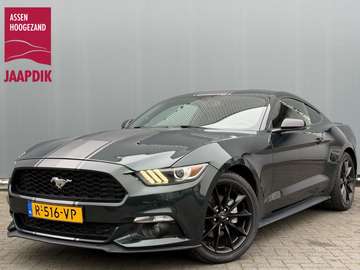 Fastback BWJ 10-2018 | 310 PK AUTOMAAT RTR RECARO