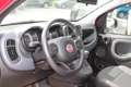 Fiat Panda 4x2 FireFly Hybrid 70 (Red) Rot - thumbnail 8