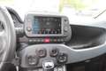 Fiat Panda 4x2 FireFly Hybrid 70 (Red) Rot - thumbnail 13