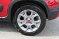 Fiat Panda 4x2 FireFly Hybrid 70 (Red) Rot - thumbnail 7