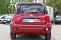 Fiat Panda 4x2 FireFly Hybrid 70 (Red) Rot - thumbnail 6