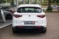 Alfa Romeo Stelvio 2.0 Turbo Super Q4 4 nieuwe banden Wit - thumbnail 4