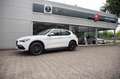 Alfa Romeo Stelvio 2.0 Turbo Super Q4 4 nieuwe banden Wit - thumbnail 2