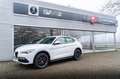Alfa Romeo Stelvio 2.0T 280pk AWD Super Blanc - thumbnail 2