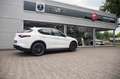 Alfa Romeo Stelvio 2.0 Turbo Super Q4 4 nieuwe banden Wit - thumbnail 31