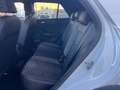 Volkswagen T-Roc 1.0 TSI R-Line - PER NEOPATENTATO - Bianco - thumbnail 11