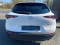 Mazda CX-30 (2025) EXCLUSIVE-L. e-Skyactiv-G 140PS 6MT HUD Nav Weiß - thumbnail 4