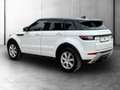 Land Rover Range Rover Evoque 2,0 TD4 150 SE LEDER+MEGAPREIS Weiß - thumbnail 5