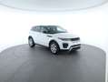 Land Rover Range Rover Evoque 2,0 TD4 150 SE LEDER+NAV+XENON Weiß - thumbnail 25