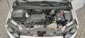 Chevrolet Aveo 1.2 LS Weiß - thumbnail 3