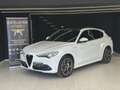 Alfa Romeo Stelvio Stelvio 2.2 Turbodiesel 210 CV AT8 Q4 Veloce Bianco - thumbnail 1