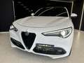 Alfa Romeo Stelvio Stelvio 2.2 Turbodiesel 210 CV AT8 Q4 Veloce Bianco - thumbnail 3
