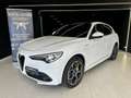 Alfa Romeo Stelvio Stelvio 2.2 Turbodiesel 210 CV AT8 Q4 Veloce Bianco - thumbnail 2