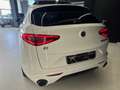 Alfa Romeo Stelvio Stelvio 2.2 Turbodiesel 210 CV AT8 Q4 Veloce Bianco - thumbnail 9