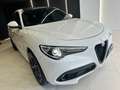 Alfa Romeo Stelvio Stelvio 2.2 Turbodiesel 210 CV AT8 Q4 Veloce Bianco - thumbnail 5