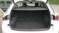 Skoda Octavia Combi Sondermodell  First Edition Weiß - thumbnail 11