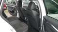 Skoda Octavia Combi Sondermodell  First Edition Weiß - thumbnail 12