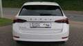Skoda Octavia Combi Sondermodell  First Edition Weiß - thumbnail 7