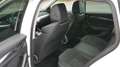 Skoda Octavia Combi Sondermodell  First Edition Weiß - thumbnail 10