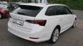 Skoda Octavia Combi Sondermodell  First Edition Weiß - thumbnail 8