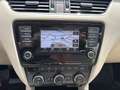 Skoda Octavia Combi 1,4 TSI Elegance Green tec Beige - thumbnail 10