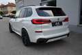 BMW X5 G05 | P-Dach | Luftfahrwerk | Blanc - thumbnail 14