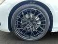 Audi A6 TDI quattro S line Matrix 360° Kamera Weiß - thumbnail 21