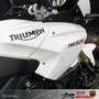 Triumph Tiger 1050 SE Wit - thumbnail 10