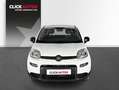 Fiat Panda 1.0 70CV Hybrid Blanco - thumbnail 2