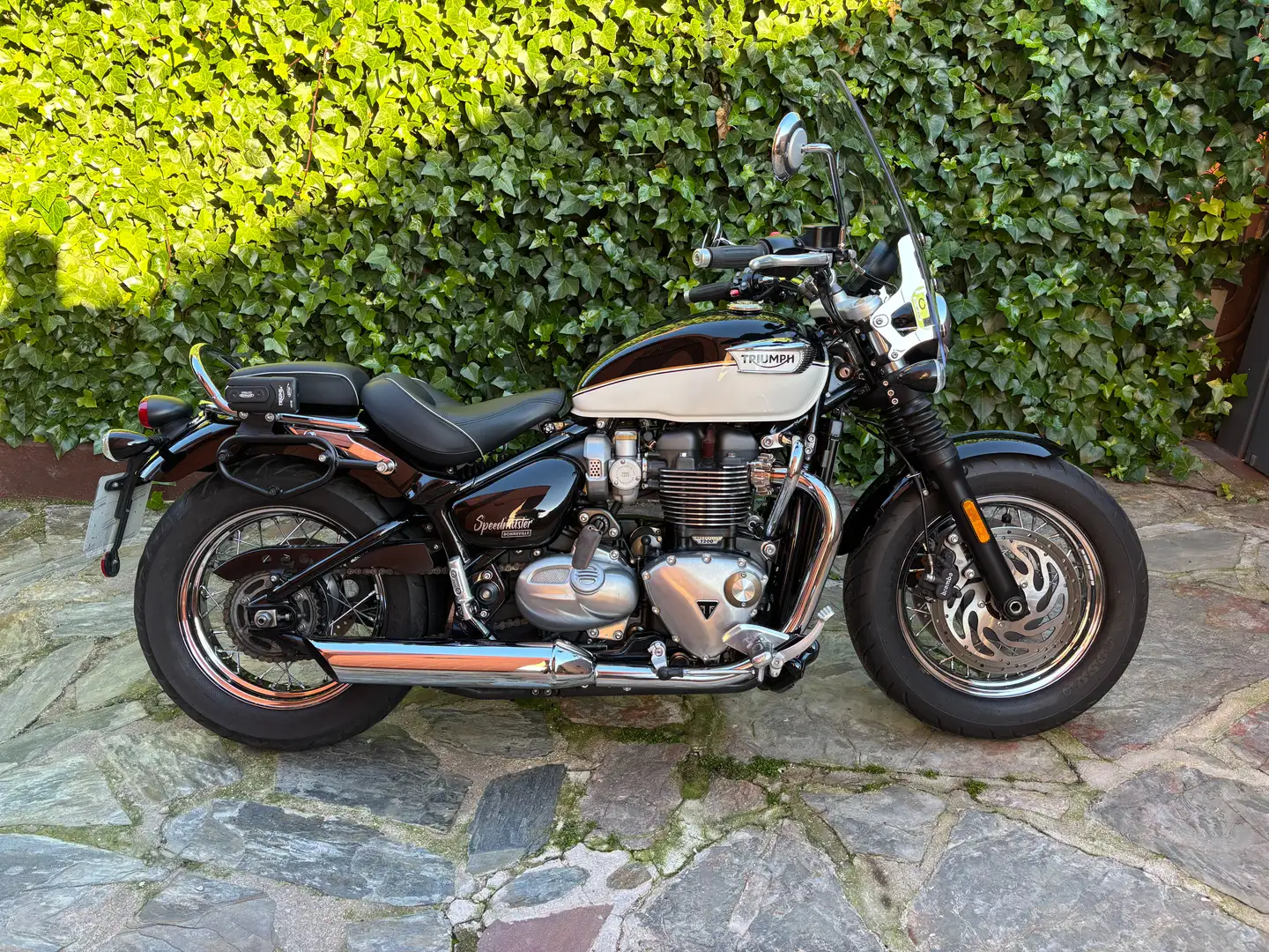 Triumph Speedmaster Bonneville Speedmaster 1200 del 2024 negra y blanca con pocos kilómetros y en perfecto estado Negro - 2
