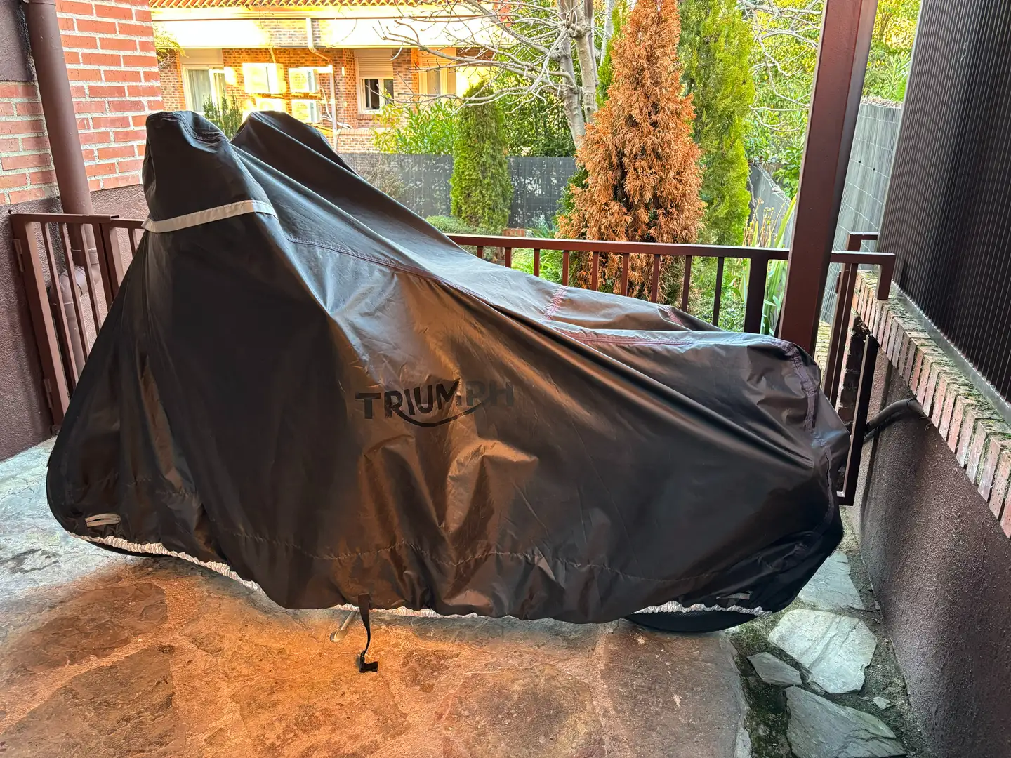 Triumph Speedmaster Bonneville Speedmaster 1200 del 2024 negra y blanca con pocos kilómetros y en perfecto estado Negro - 1