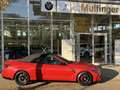 BMW M4 Cabrio xDr.Comp HUD SuView Nackenh.Ha/Ka.PA+ Rot - thumbnail 6