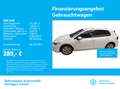 Volkswagen Golf Life 1.5 TSI Navi AHK ACC LED SHZ PDC Weiß - thumbnail 1