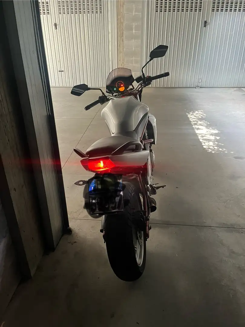 Kawasaki ER - 6 N - 2