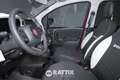 Fiat Panda Pandina 1.0 Firefly Hybrid 70CV Cross Rosso - thumbnail 8