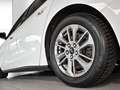 Ford Focus TITANIUM 1.5 ECOBLUE Blanc - thumbnail 5