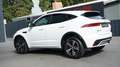 Jaguar E-Pace E-PACE D200 R-DYNAMIC S*AWD*BLACK PACK* Blanc - thumbnail 10