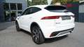 Jaguar E-Pace E-PACE D200 R-DYNAMIC S*AWD*BLACK PACK* Blanc - thumbnail 12