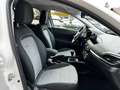 Fiat Tipo Cross City*Garantie*1.Besitz*ACC*LED*RFK*ACarplay* Weiß - thumbnail 20