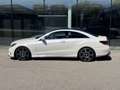 Mercedes-Benz E 350 BlueTEC AMG-LINE/ACC/PANO/DESIGNO/SHZ Weiß - thumbnail 5
