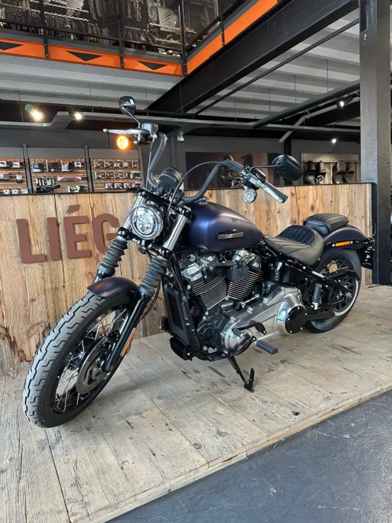 Harley-Davidson Street Bob 117 SOFTAIL Paars - 1
