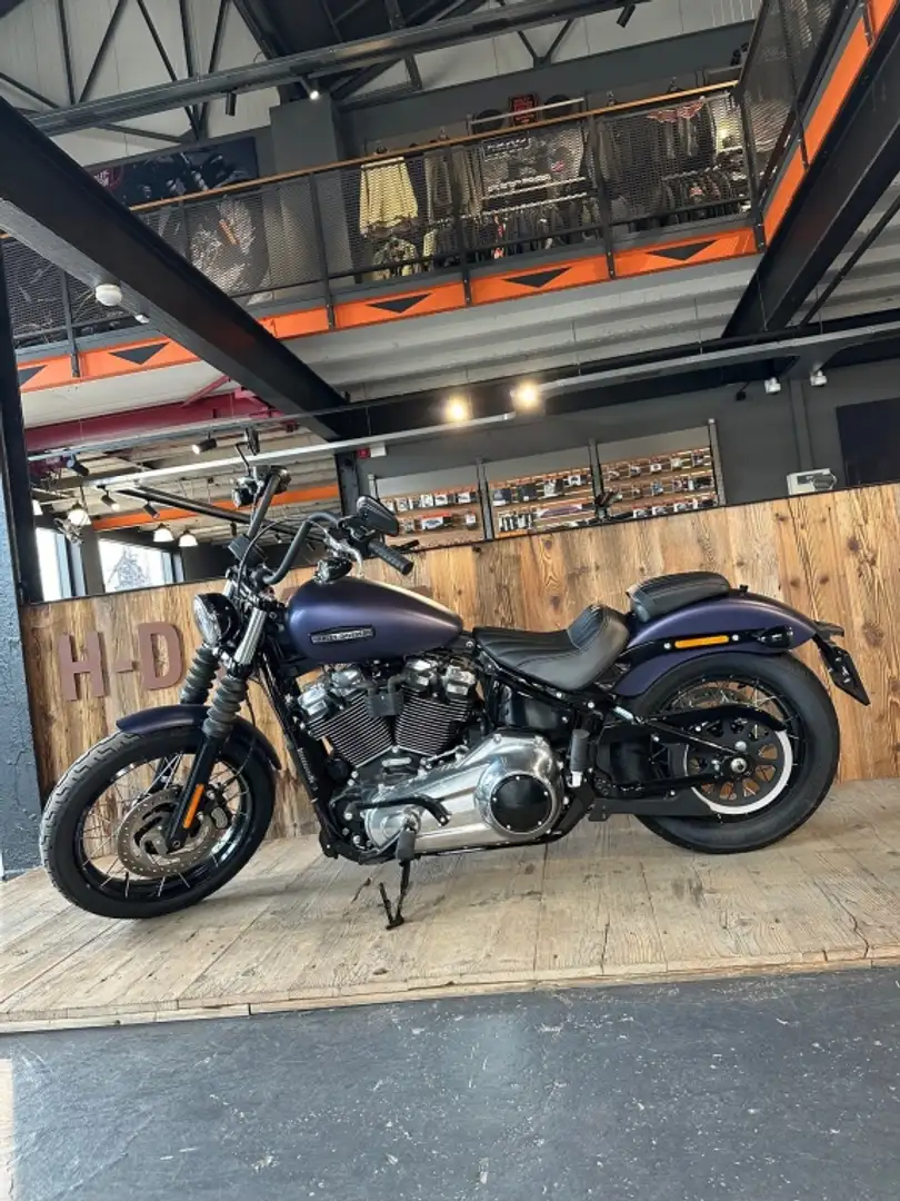Harley-Davidson Street Bob 117 SOFTAIL Paars - 2