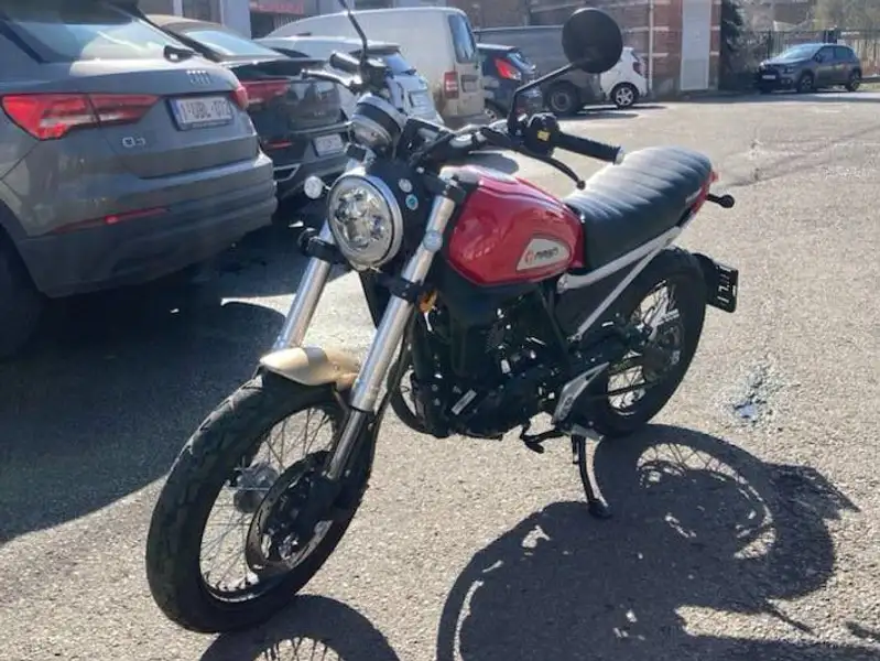 Mash Falcone - foto 4