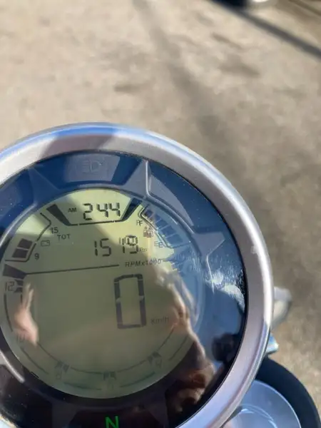 Mash Falcone - foto 6