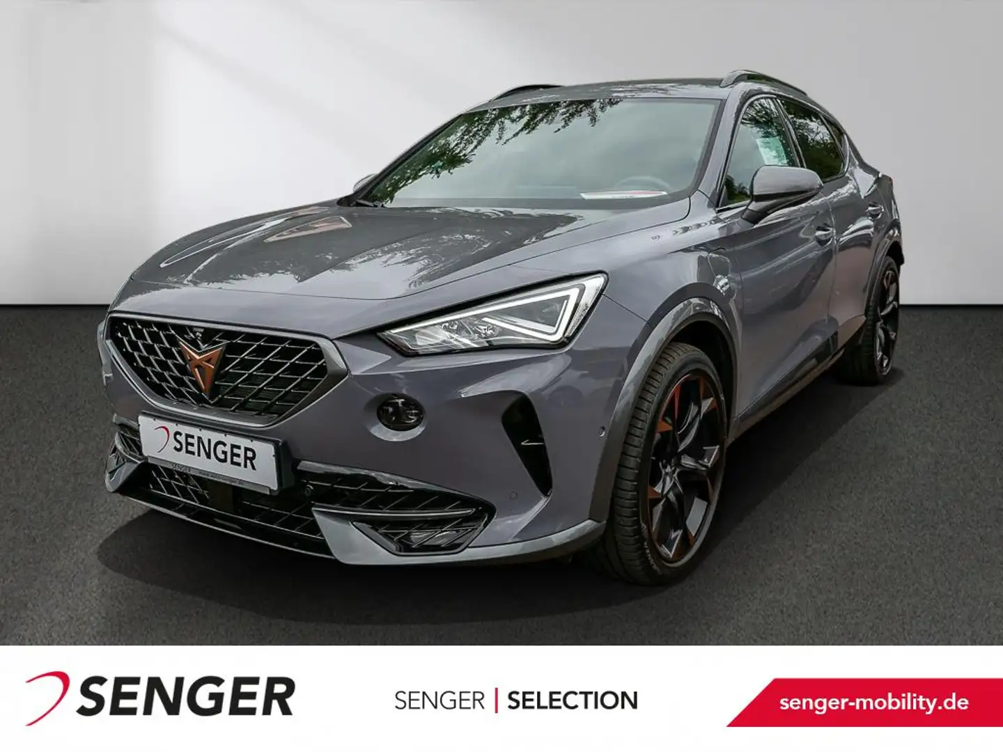 CUPRA Formentor 1.4 e-Hybrid VZ Nav DCC Schalensitze Grau - 1