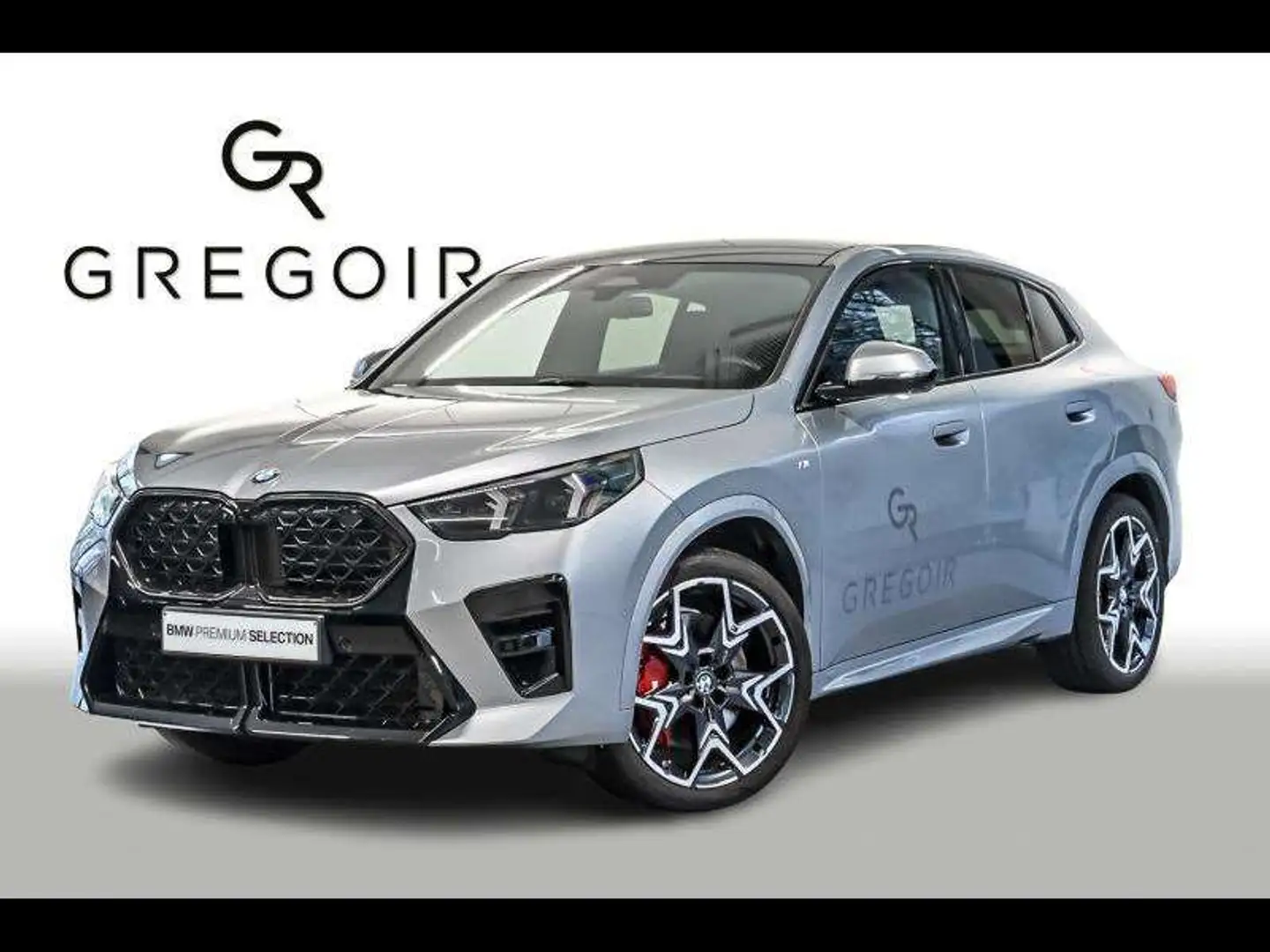 BMW X2 sDrive20i Gris - 1