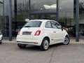 Fiat 500 / 3D / OPEN DAK / CARPLAY / NAVI / AC / PARK SENS Blanc - thumbnail 7
