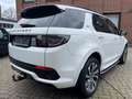Land Rover Discovery Sport R-Dynamic HSE AWD HEADUP*PAN*360 Weiß - thumbnail 8