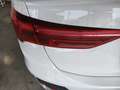 Audi Q3 Q3 40 TDI quattro S tronic S line edition Blanc - thumbnail 17