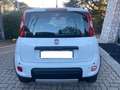 Fiat Panda 1.3 MJT 16V 4x4 75CV SOLO 20000KM GARANTITI Bianco - thumbnail 4
